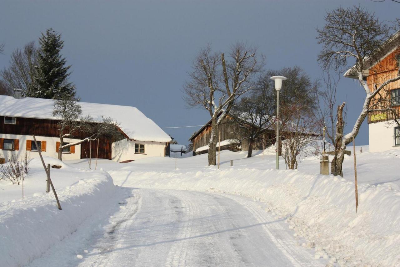 Ferienhaus Marchhaeuser 12 Haidmühle Exteriör bild